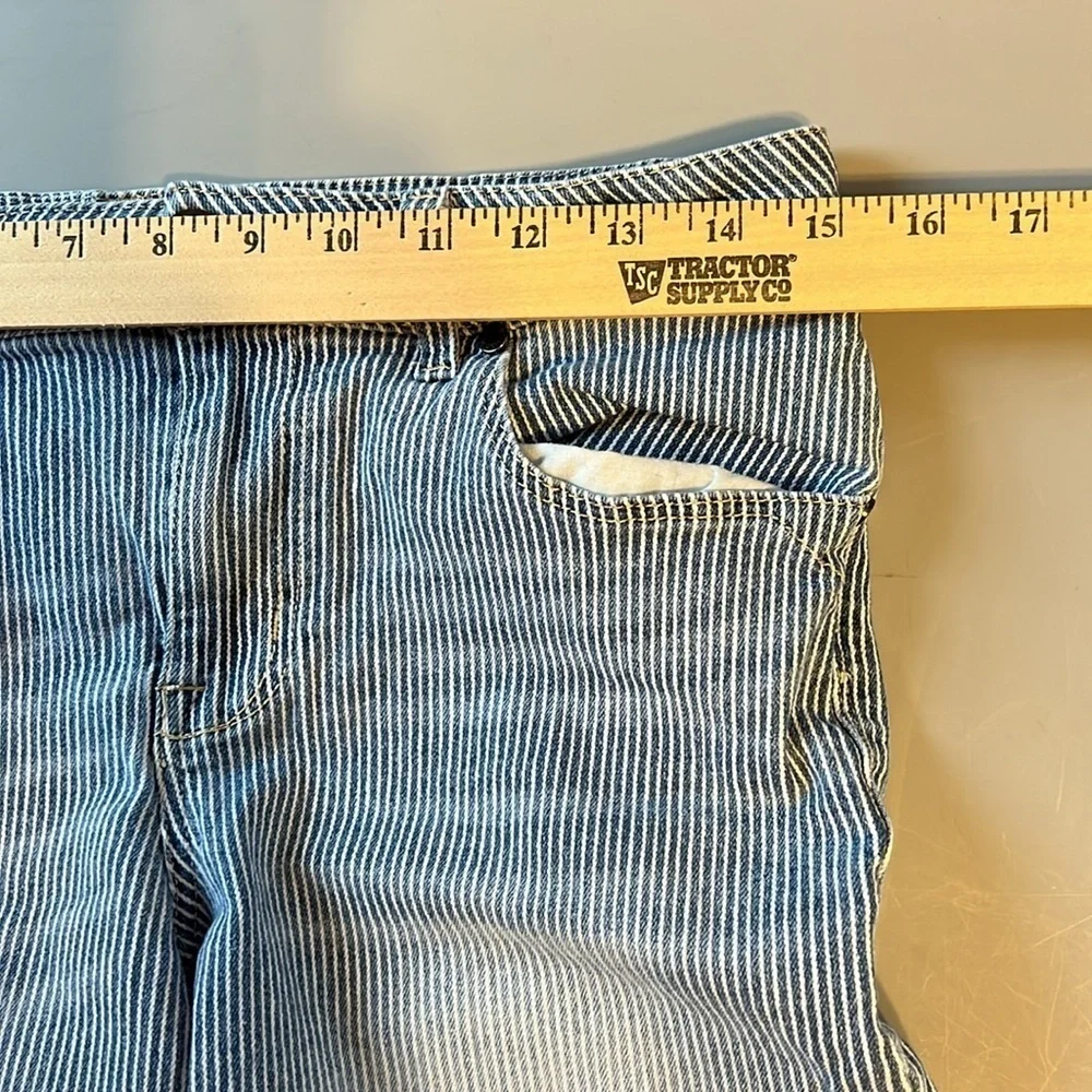 1822 Denim Jean Stripe Shorts 10
